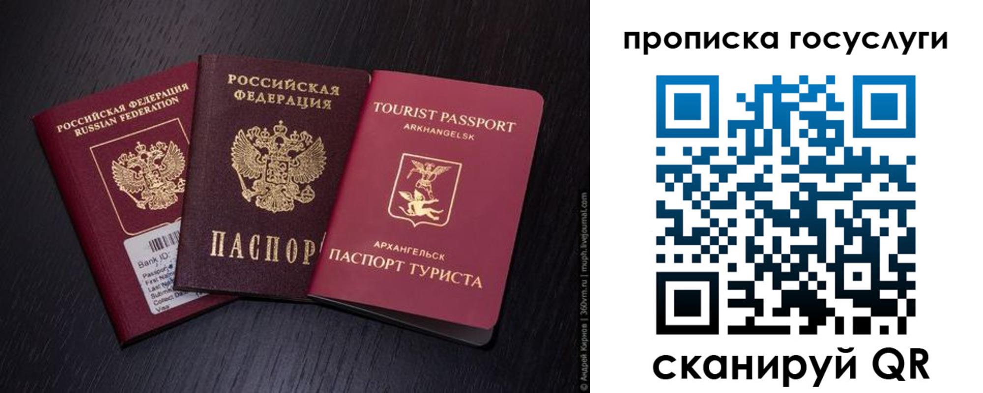 прописка 2025 в Новосибирске
